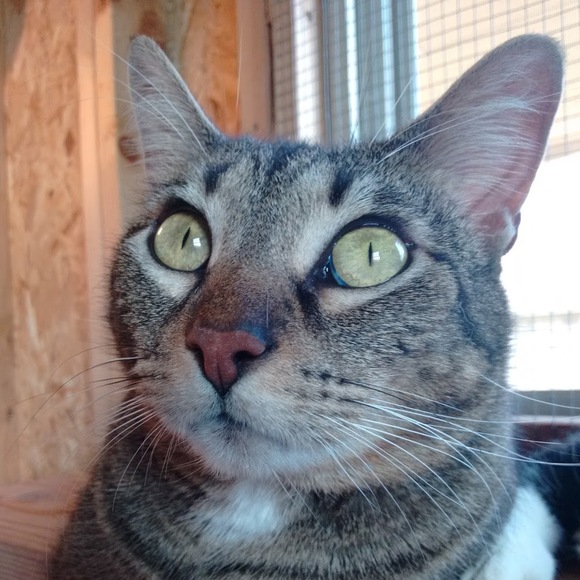 Meet your Posher, Martha sue - Picture 1 of 1